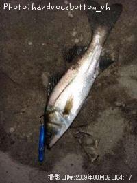 �����Х�