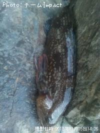 �����ʥ�