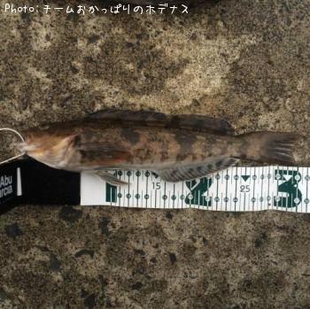 �����ʥ�