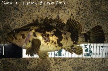 �����Υ���Х�