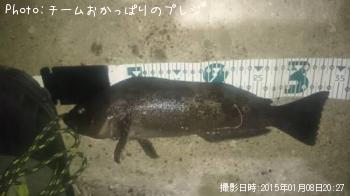 �����ʥ�