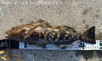 �����ʥ�