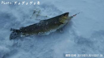 ¥ì¥¤¥ó¥Ü¡¼¥È¥é¥¦¥È