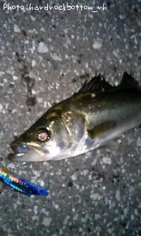 �����Х�