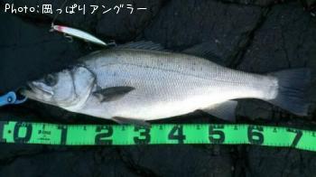 �ҥ饹����