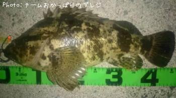 �����Υ���Х�