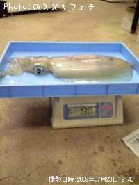 ¥¢¥ª¥ê¥¤¥«