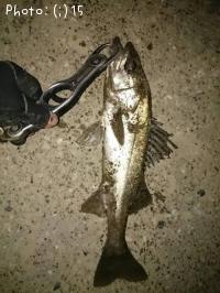 �����Х�