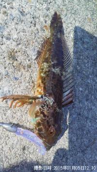 �����ʥᡩ