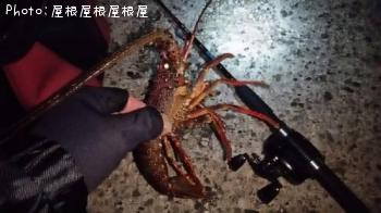 ������Ϸ