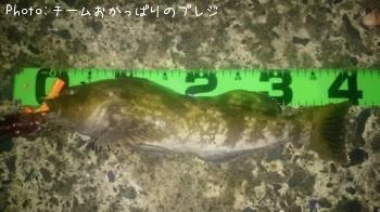 �����ʥ�