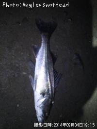 �����Х�