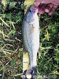 �֥�å��Х�