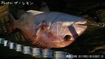 ���祢��å�