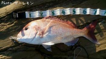 ���祢��å�