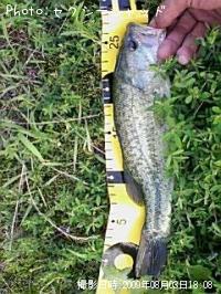 �֥�å��Х�