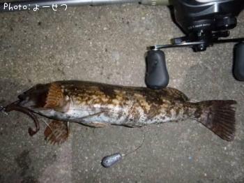 �����ʥ�