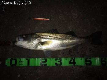 �����Х�