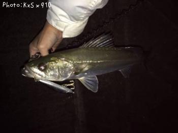 �����Х�