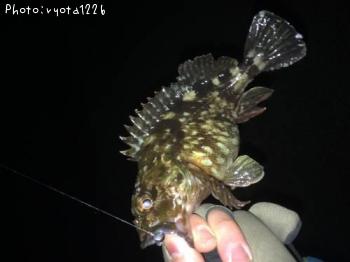 �����Υ���Х�