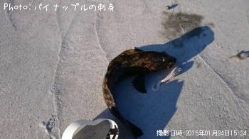 �����ʥ�