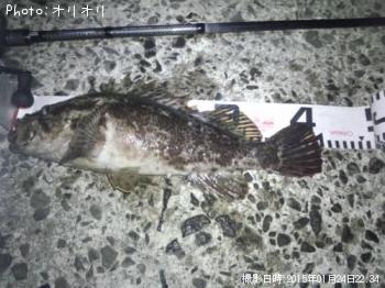 �٥å�������