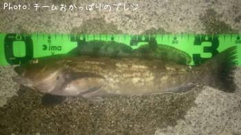 �����ʥ�