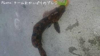 �����ʥ�