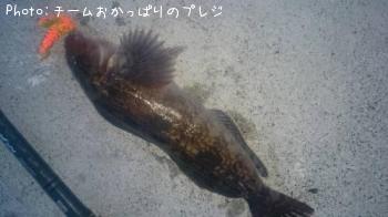 �����ʥ�