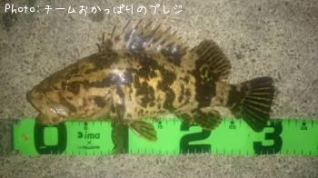 �����Υ���Х�