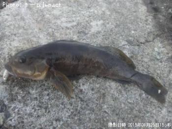 �����ʥ�