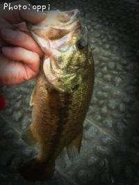 �֥�å��Х�