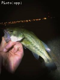 �֥�å��Х�