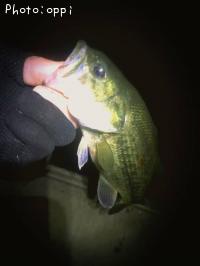 �֥�å��Х�