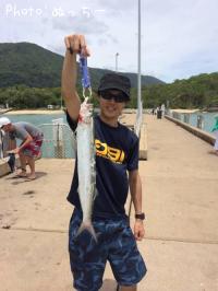 Ææ¤Î¥µ¥«¥Ê