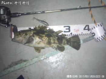 �٥å�������