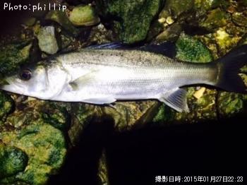 �����Х�