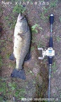 ¥Ö¥é¥Ã¥¯¥Ð¥¹