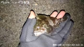 ��饽��