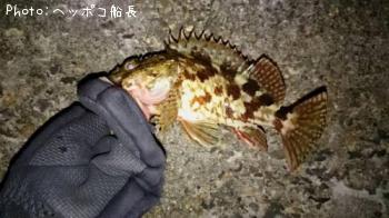 ��饽��