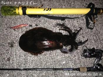 �����ꥤ��