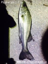 �����Х�