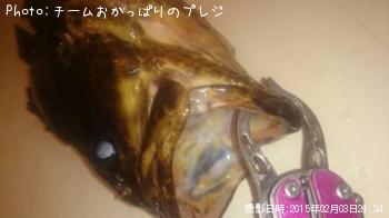 �����Υ���Х�