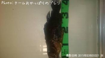 �����Υ���Х�