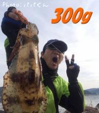 �����ꥤ��