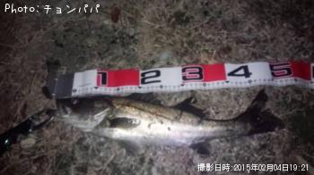 �����Х�