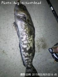 �����ʥ�