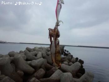 水烏賊