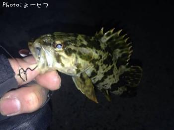 ¥¿¥±¥Î¥³¥á¥Ð¥ë