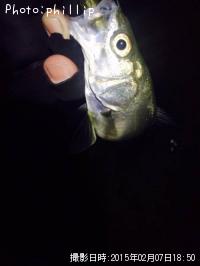 �����Х�